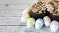 Funny Easter background with bunny, sheep and Easter eggs. Letter of wishes for Easter. With cospyspaces Royalty Free Stock Photo