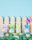 Funny Easter bunnies Royalty Free Stock Photo