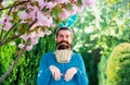 funny Easter egg hunt. Humorous series of a man in bunny suit. Good for Easter or ironic situations.