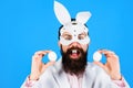 Funny Easter man with white eggs. Egg hunt. Easter bunny guy with rabbit ears. Royalty Free Stock Photo