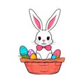Funny Easter Rabbit in the Basket Isolated on white. Wicker basket of colorful eggs and cute white bunny Royalty Free Stock Photo