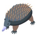 Funny echidna icon isometric vector. Cute animal Royalty Free Stock Photo