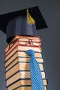 Funny education idea, a stack of books as an unusual teacher with glasses Royalty Free Stock Photo