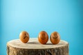 funny eggs with face feeling. Royalty Free Stock Photo