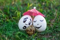 Funny eggs imitating white mother and father with versicolored b