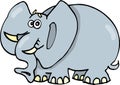 Funny elephant Royalty Free Stock Photo