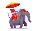 Funny elephant with chair, blanket and umbrella