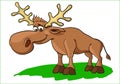 Funny elk