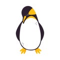 Funny Emperor Penguin as Aquatic Flightless Bird with Flippers Standing Vector Illustration