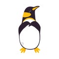 Funny Emperor Penguin as Aquatic Flightless Bird with Flippers Vector Illustration