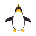 Funny Emperor Penguin as Aquatic Flightless Bird with Flippers Vector Illustration