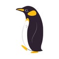 Funny Emperor Penguin as Aquatic Flightless Bird with Flippers Waddling Vector Illustration