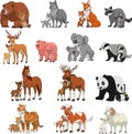 Funny exotic animals Royalty Free Stock Photo