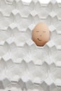 Funny face drawn on brown egg in empty carton