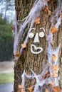 Funny face on a fall tree Royalty Free Stock Photo