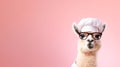 funny face Llama wearing sunglasses, and chef uniforms, blank space on the right. generative ai