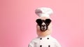 funny face Llama wearing sunglasses, and chef uniforms, blank space on the right. generative ai