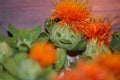 Funny face on a safflower blossom