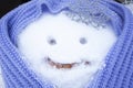 Funny face of a snowman for Christmas 2021. New year`s pumpkin snowman in a hand-knitted lilac scarf Royalty Free Stock Photo