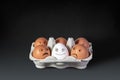 Funny faces and emotions drawn on white and brown eggs with black marker on light background. Carton box with organic chicken eggs Royalty Free Stock Photo
