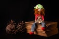 Funny fairytale dwarf with red shaggy beard