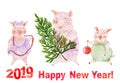 Funny family of pigs are going to decorate Christmas tree. Greeting card with Happy New Year 2019 sign. Watercolor painting. Royalty Free Stock Photo