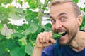 Funny farmer eating fresh harvested cucumber inside greenhouse. Smiling gardener near vegetable bed. Organic gardening, local bio Royalty Free Stock Photo