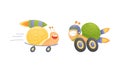 Funny fast snails set. Happy mollusk characters riding on wheels and skateboard vector illustration Royalty Free Stock Photo