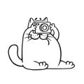 Funny fat cat photographer. Vector illustration