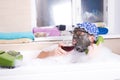 Funny fat man in the shower. Bath Royalty Free Stock Photo