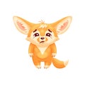 Funny fennec fox looks with sadness