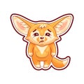 Funny fennec fox looks with sadness