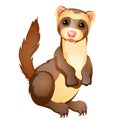 Funny ferret toy isolated on white background. Vector cartoon close-up illustration.