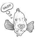 Funny fish and bubble speech with word Sale on white background Royalty Free Stock Photo