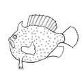 Funny fish sketch