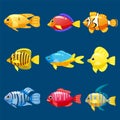 Set cartoon Funny fish vector characters. Colorful coral reef tropical fish set vector illustration. Sea fish collection Royalty Free Stock Photo