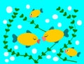 Funny Fishes