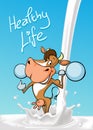 Funny fitness cow lift weights standing in milk splash cartoon - design vector