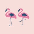 Funny flamingos with black sunglasses hand drawn vector illustration. Isolated cute pink bird in flat style for kids. Royalty Free Stock Photo