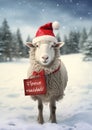 Funny Fleece Navidad Sheep Christmas Greeting Card