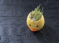 Funny flower pot with sprouted wheat on a gray slate background