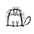 Funny fluffy cat, sketch for your design