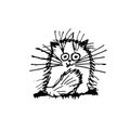 Funny fluffy cat, sketch for your design