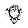 Funny fluffy cat, sketch for your design