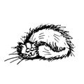 Funny fluffy cat, sketch for your design