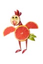 Funny flying chicken made of grapefruit