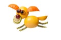 Funny flying dog made of fruits