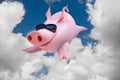 Funny flying piggies. Sky divers