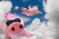 Funny flying piggies. Sky divers