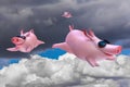 Funny flying piggies. Sky divers